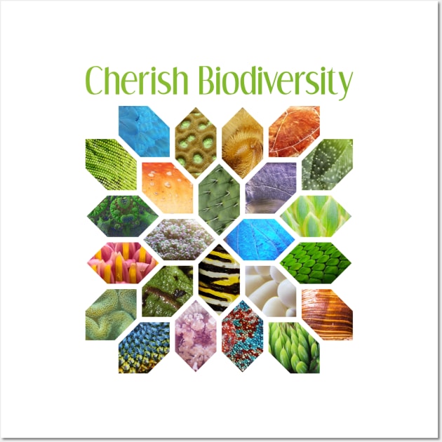 Cherish Biodiversity Wall Art by donovanh